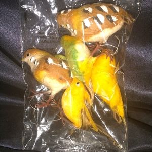 5 Life like birds.Vintage. 3 different kinds